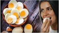 தினமும் 2 வேக வைத்த முட்டையை சாப்பிட்டால் உடலுக்கு என்னென்ன நன்மை கிடைக்கும் தெரியுமா?