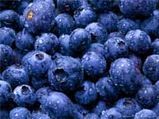 Eating Blueberries May Keep Your Memory Intact In Old Age