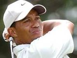 Tiger Woods creates painting masterpiece