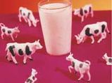 Cow's Milk May Boost Diabetes Risk