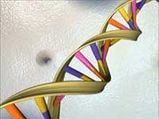 Gene Test That Can Help Prevent Heart Disease