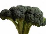 Eating Broccoli May Reverse Diabetes Damage