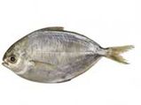Eating Fish May Ward Off Memory Loss In Elderly