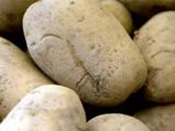 Potato Virus May Harbour Alzheimer's Cure