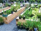 Turn your home into a natural retreat with gardens