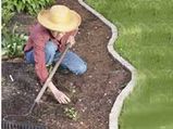 Weeding Tips to protect your Garden