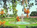 Mughal Gardens Open For Public