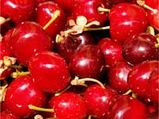 Cherry Juice Can Be The New Sports Drink