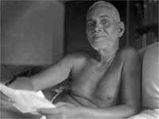 The Blessed Pigeons And Bhagavan Ramana