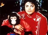 MJâ€™s Pet Chimp's Â£1m inheritance