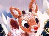 Rudolph: The Female Red Nosed Reindeer!