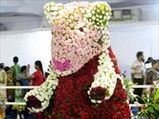 Flower Show, A Big Hit In Chennai