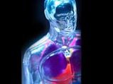 Synthetic Peptide Benefits Lung Transplants