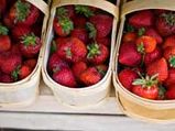 Grow Your Own Strawberry Garden