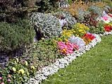 Essential Outdoor Gardening Tips