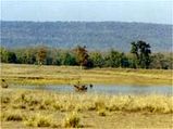 Bandhavgarh Travel Blog