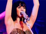 Katy Perry â€“ We Don't Want To Be Beckhams
