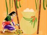 Sankranti 2021: Know The Significance Of Kaanum Pongal