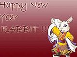 Will These â€œYear Of Rabbit