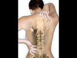 Exercises for Low Back Pain