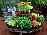 Container Gardening For Both Outdoor & Indoor Decor