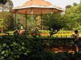 Beautiful Gardens In Bangalore You Should See!