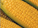 Know The Health Benefits Of Corn?