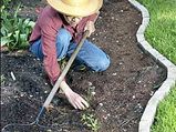 Garden Weed Control Tips For 