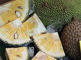 10 Health benefits Of Jackfruit