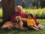 Care For Your Aging Dog's Health