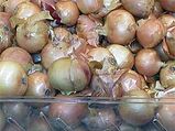 Use Onion Skin To Stay Healthy!