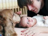 Dog Obedience Training: Prepare Dog For New Baby