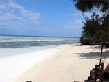 Zanzibar Islands: An Exotic African Holiday Destination!