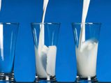 Is Milk Really Good For You?