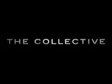 'The Collective' Launches New Fashion Denims