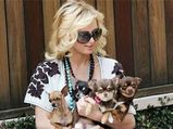 Celebrities & Their Pets!