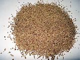 Health Benefits Of Ajwain/Carom Seeds