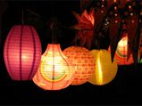 Diwali Decoration: Decorating Garden With Lights
