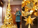 Expensive Christmas Tree Comes From Japan