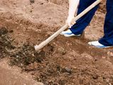 How To Prepare Soil For Your Garden?