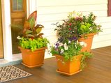 How To Choose Containers For Your Garden?