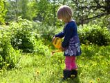 Natural Alternatives For Garden Chemicals