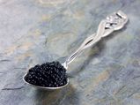 What Caviar Can Do For Your Skin?