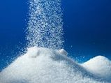 Is Sugar Making You Stupid?