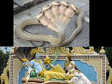 Sheshnag (5 Headed Snake): Myth Or Reality
