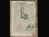 Voynich Manuscript: Most Mysterious Manuscript Ever