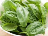 Spinach A Vegan Substitute