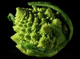 Superfood Broccoli