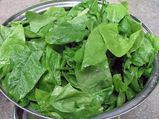 Mustard Greens