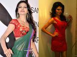 Facts About The HOT Sherlyn Chopra